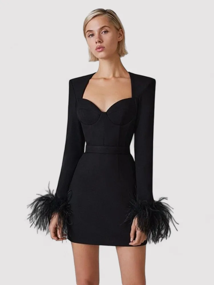 Ancien | Women's Long Sleeve Feather Bodycon Mini Dress