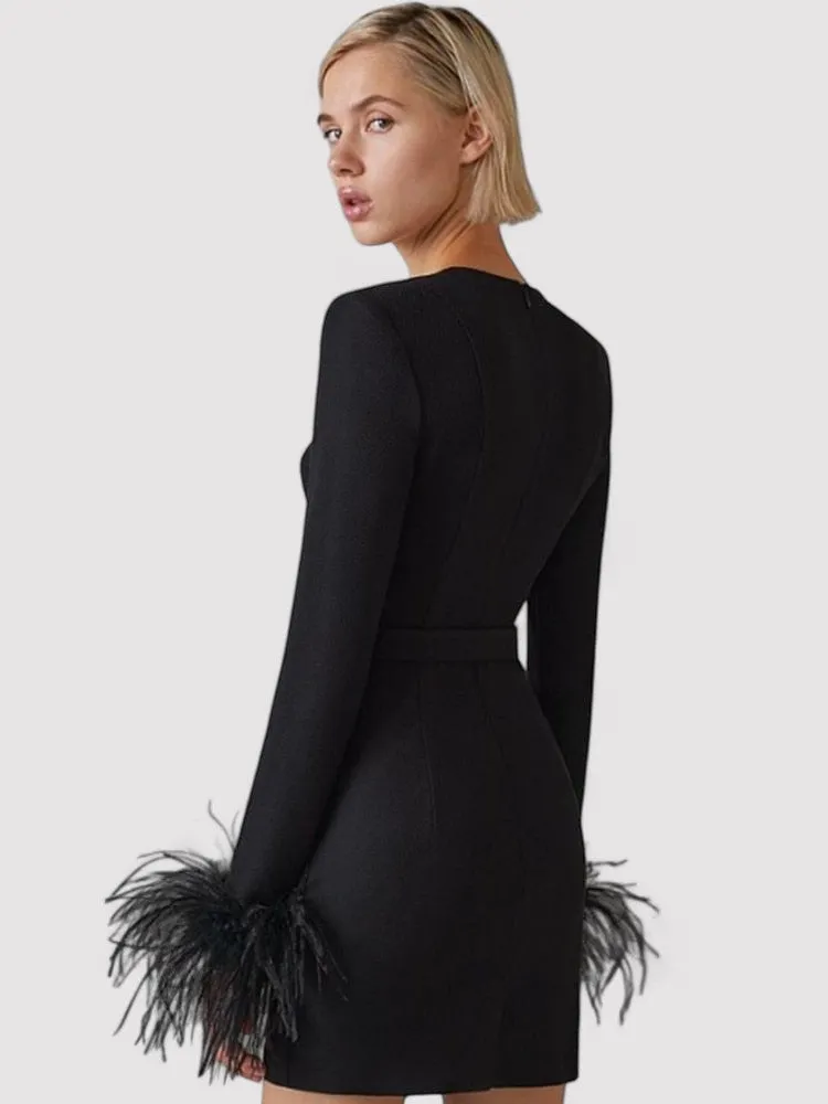 Ancien | Women's Long Sleeve Feather Bodycon Mini Dress
